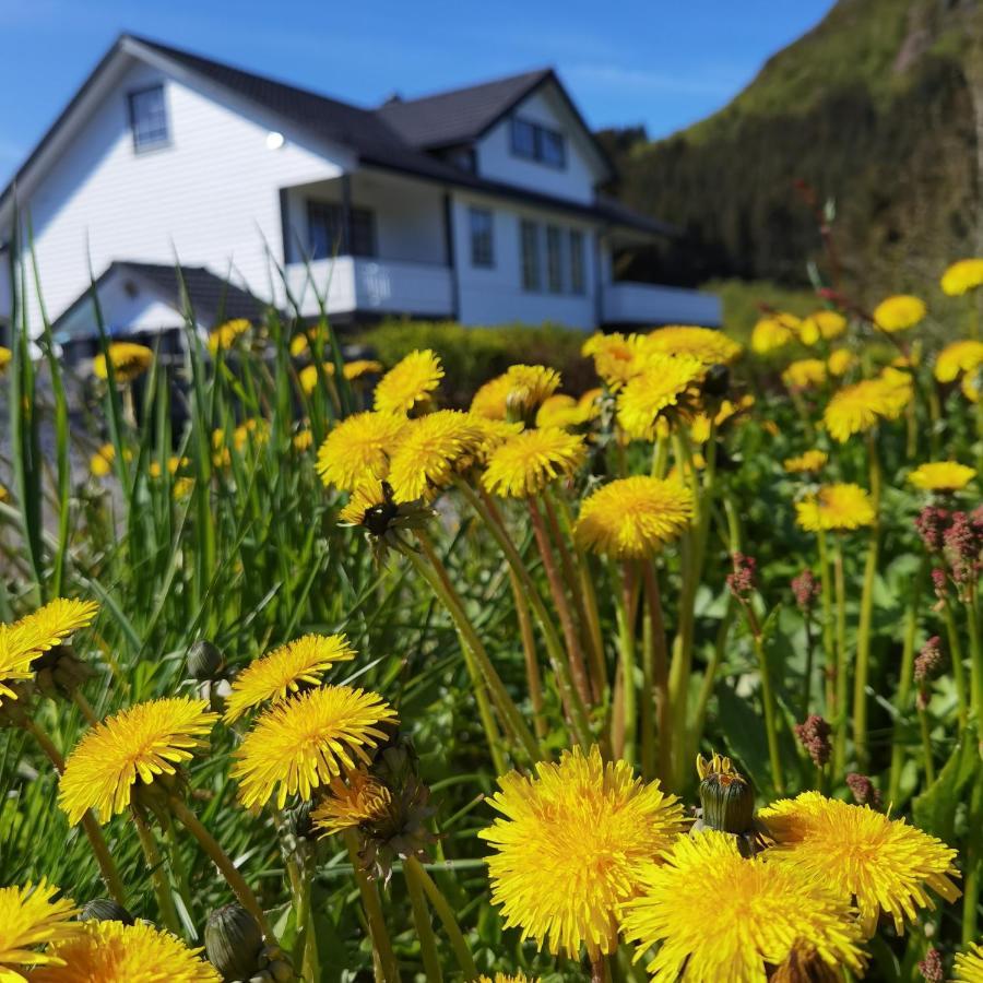 Banpim Hillside Lofoten With Jacusszi Gravdal  Εξωτερικό φωτογραφία